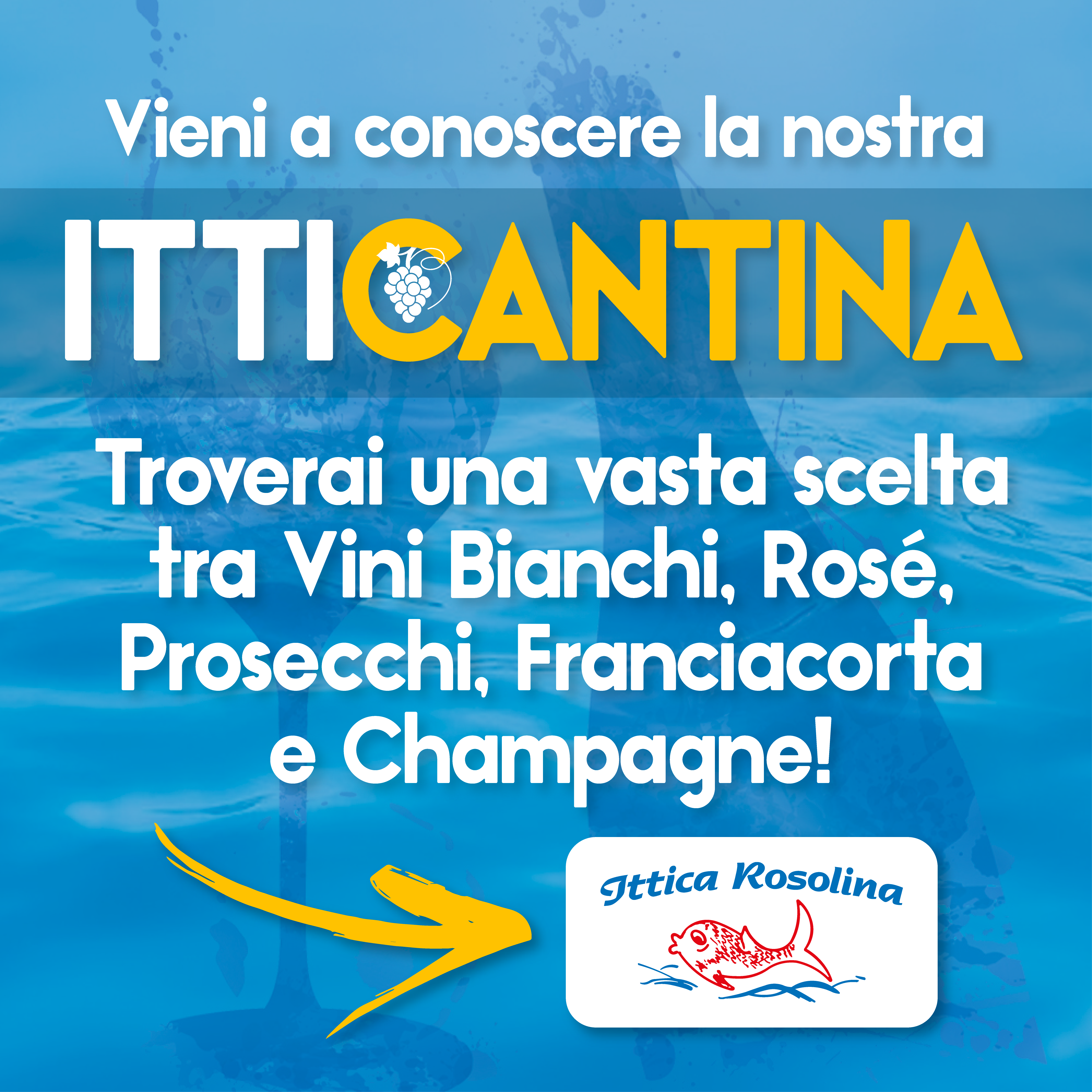 Promo ITTICANTINA - Ittica Rosolina